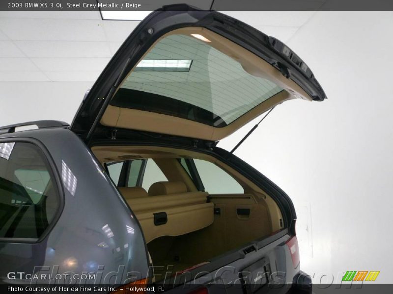 Steel Grey Metallic / Beige 2003 BMW X5 3.0i