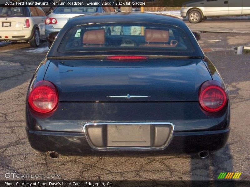 Evening Black / Black Ink/Saddle 2003 Ford Thunderbird Premium Roadster