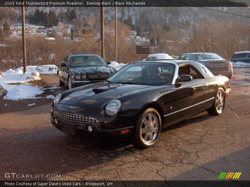 Evening Black / Black Ink/Saddle 2003 Ford Thunderbird Premium Roadster