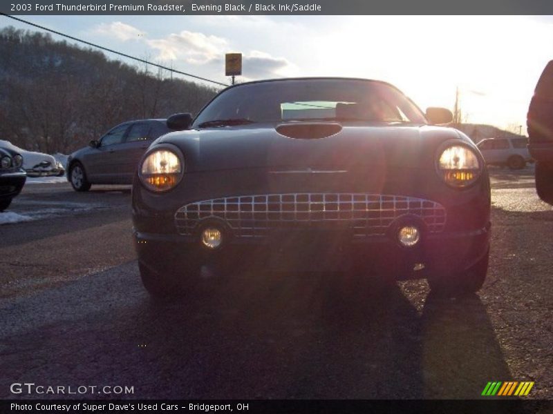 Evening Black / Black Ink/Saddle 2003 Ford Thunderbird Premium Roadster