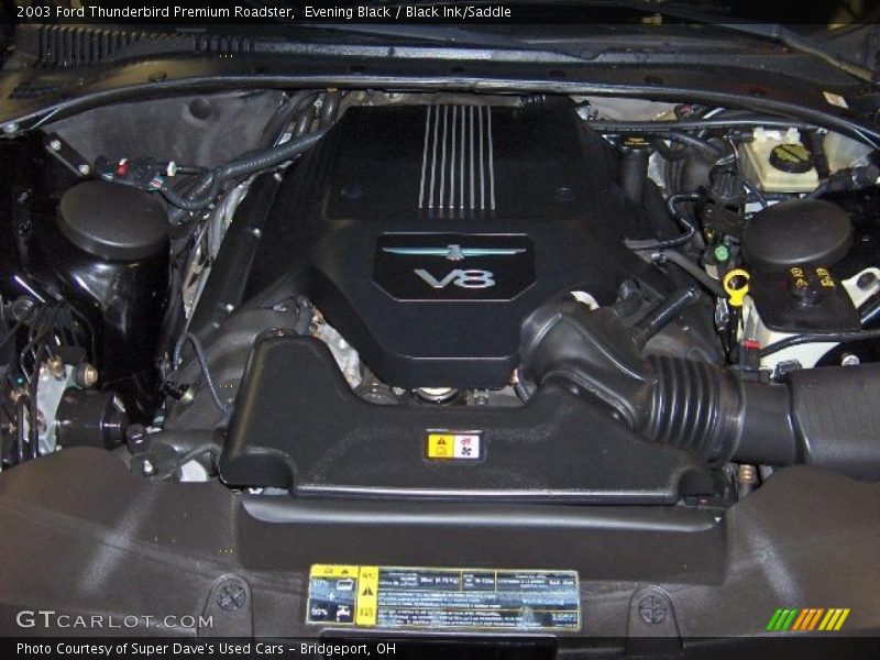 Evening Black / Black Ink/Saddle 2003 Ford Thunderbird Premium Roadster