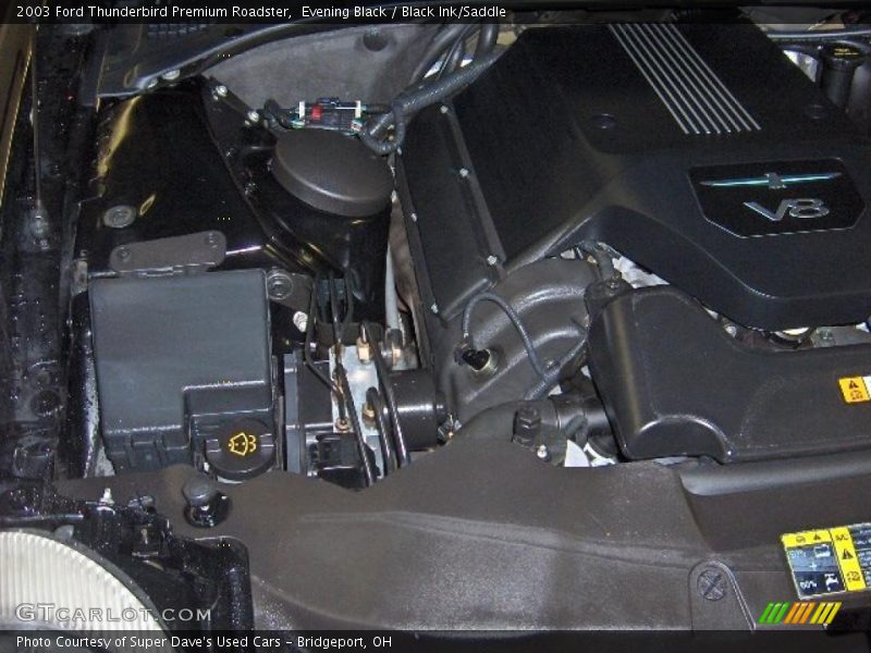 Evening Black / Black Ink/Saddle 2003 Ford Thunderbird Premium Roadster