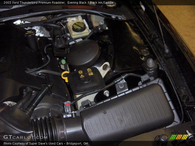 Evening Black / Black Ink/Saddle 2003 Ford Thunderbird Premium Roadster