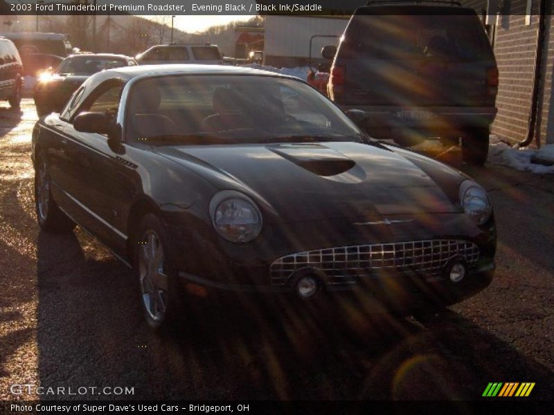 Evening Black / Black Ink/Saddle 2003 Ford Thunderbird Premium Roadster