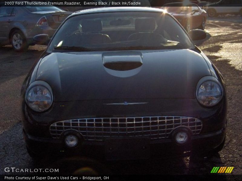 Evening Black / Black Ink/Saddle 2003 Ford Thunderbird Premium Roadster