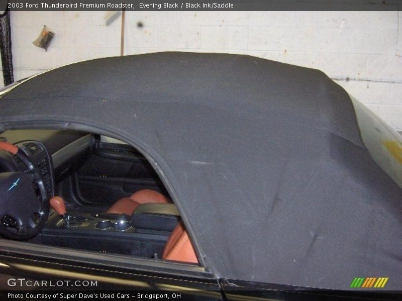Evening Black / Black Ink/Saddle 2003 Ford Thunderbird Premium Roadster