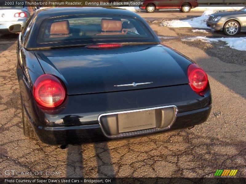 Evening Black / Black Ink/Saddle 2003 Ford Thunderbird Premium Roadster