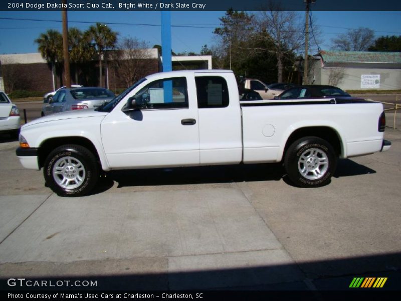 Bright White / Dark Slate Gray 2004 Dodge Dakota Sport Club Cab