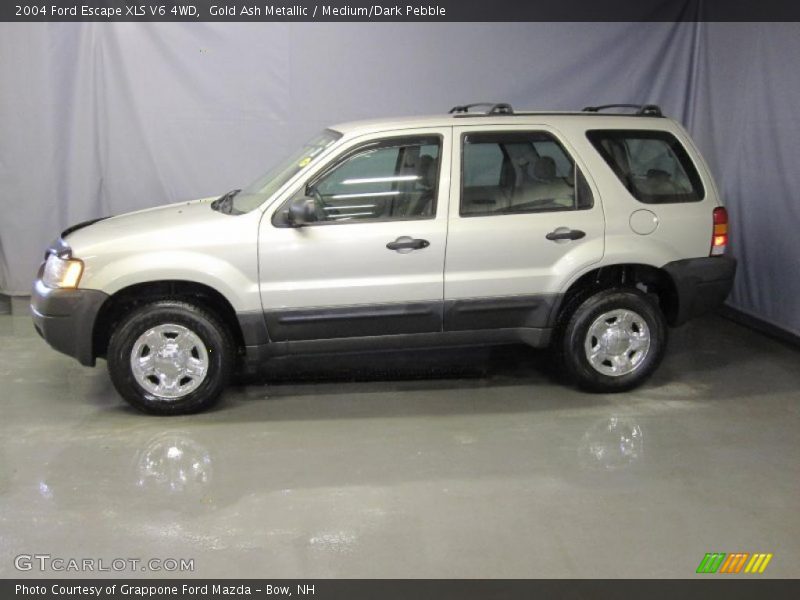 Gold Ash Metallic / Medium/Dark Pebble 2004 Ford Escape XLS V6 4WD