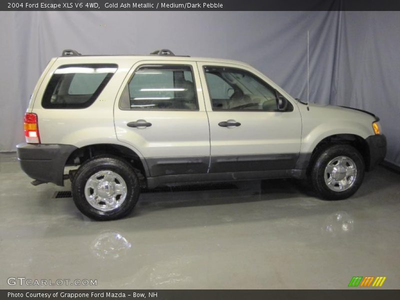 Gold Ash Metallic / Medium/Dark Pebble 2004 Ford Escape XLS V6 4WD