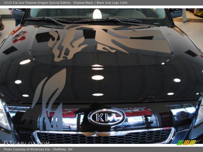 Shadow Black / Black Soul Logo Cloth 2010 Kia Soul Shadow Dragon Special Edition