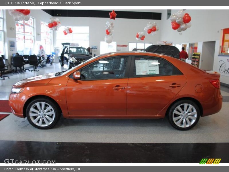 Copperhead / Black Sport 2010 Kia Forte SX