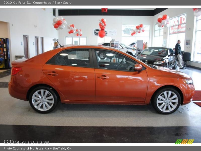 Copperhead / Black Sport 2010 Kia Forte SX