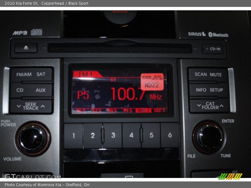 Copperhead / Black Sport 2010 Kia Forte SX