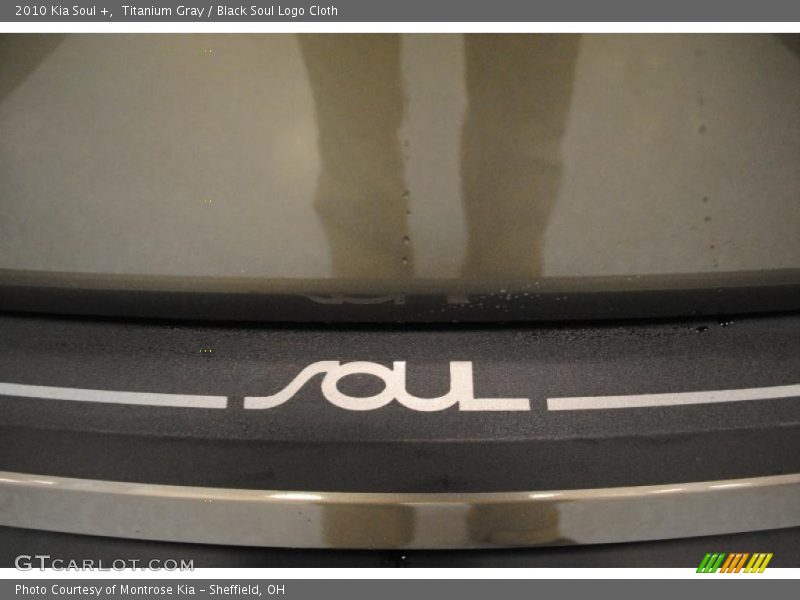 Titanium Gray / Black Soul Logo Cloth 2010 Kia Soul +