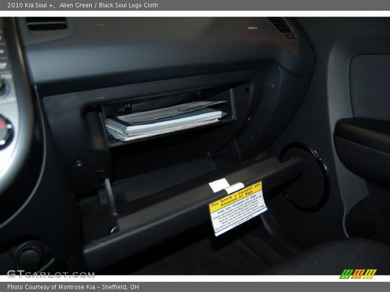 Alien Green / Black Soul Logo Cloth 2010 Kia Soul +