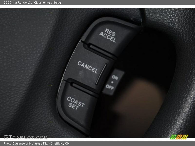 Clear White / Beige 2009 Kia Rondo LX