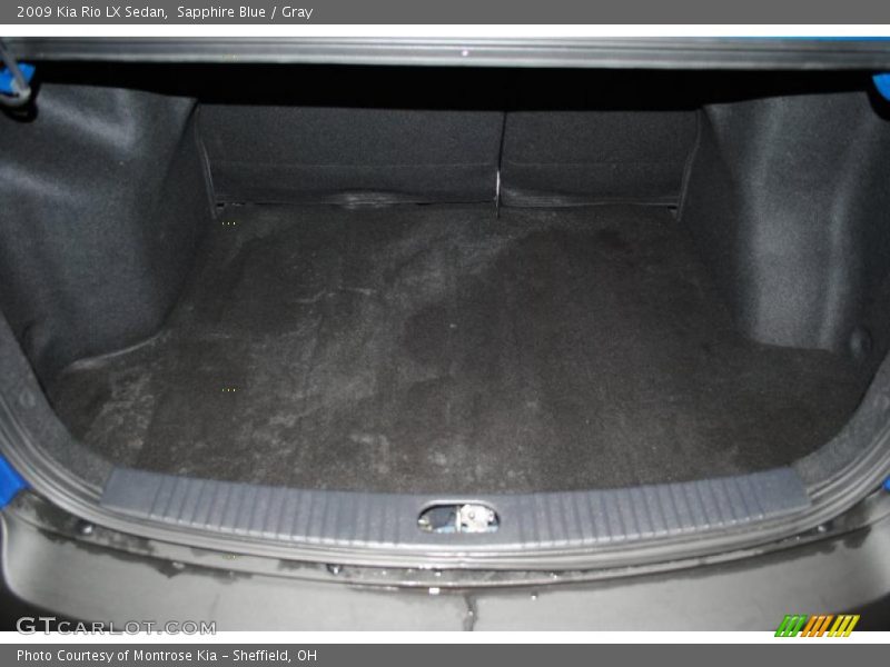 Sapphire Blue / Gray 2009 Kia Rio LX Sedan