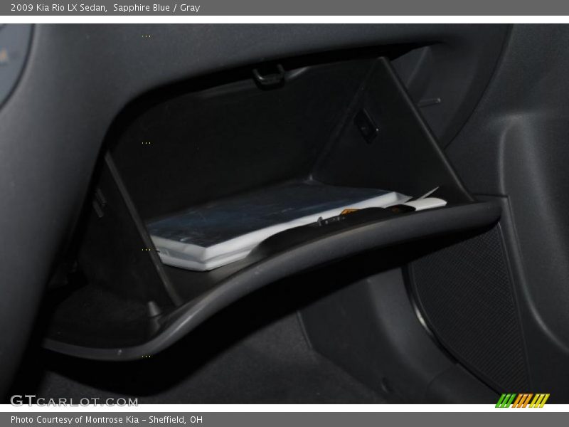 Sapphire Blue / Gray 2009 Kia Rio LX Sedan