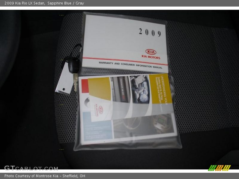 Sapphire Blue / Gray 2009 Kia Rio LX Sedan