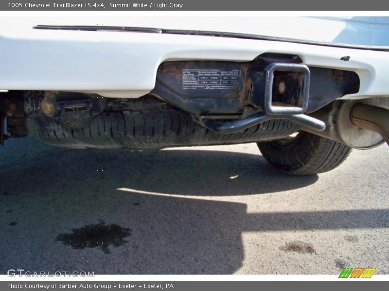 Summit White / Light Gray 2005 Chevrolet TrailBlazer LS 4x4