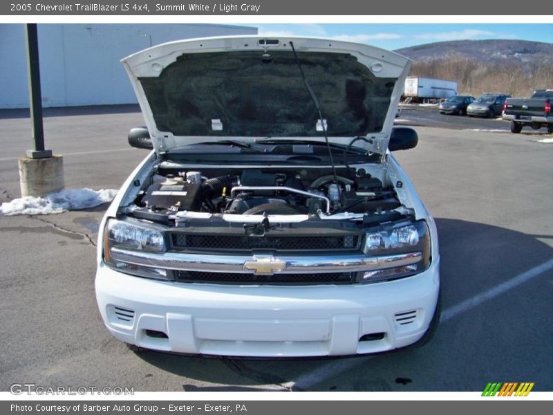 Summit White / Light Gray 2005 Chevrolet TrailBlazer LS 4x4