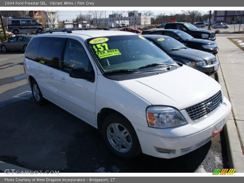 Vibrant White / Flint Grey 2004 Ford Freestar SEL