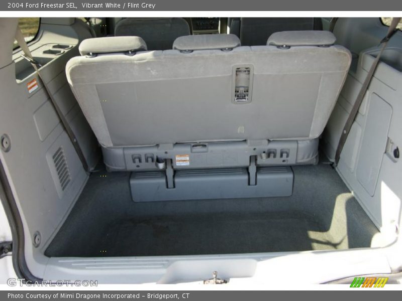 Vibrant White / Flint Grey 2004 Ford Freestar SEL