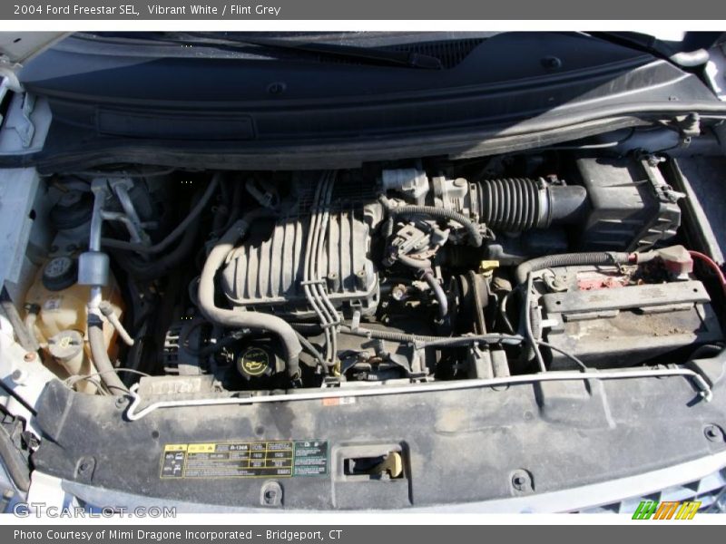 Vibrant White / Flint Grey 2004 Ford Freestar SEL