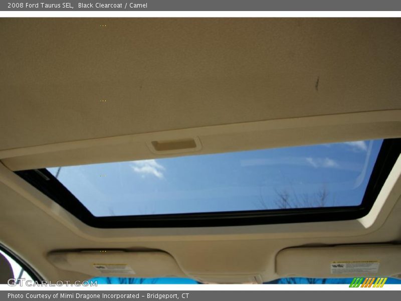 Black Clearcoat / Camel 2008 Ford Taurus SEL