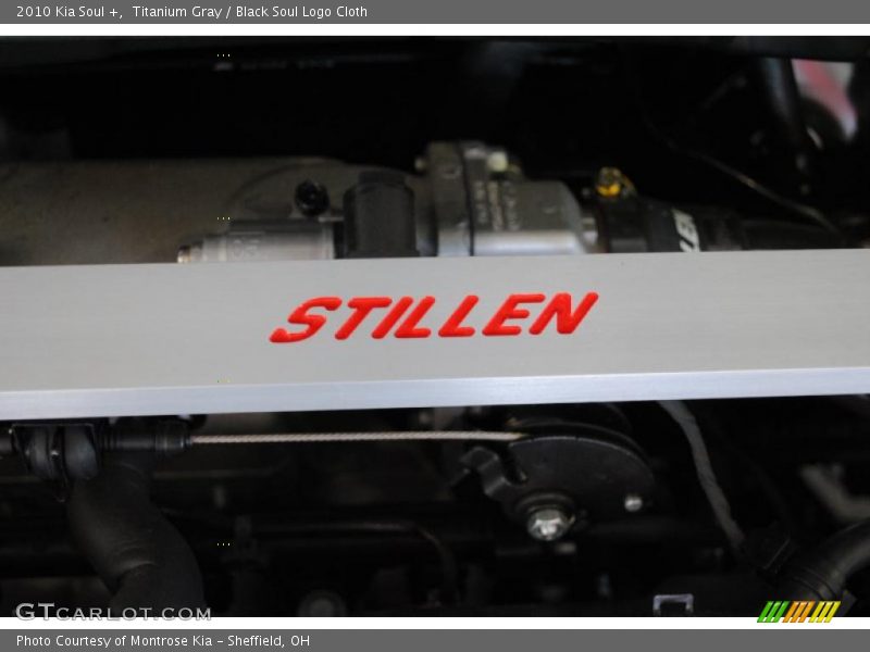 Titanium Gray / Black Soul Logo Cloth 2010 Kia Soul +