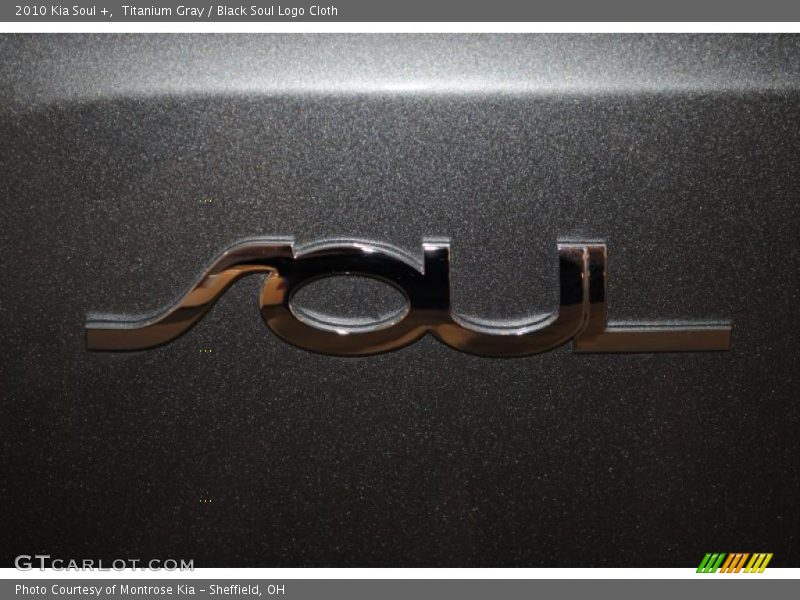 Titanium Gray / Black Soul Logo Cloth 2010 Kia Soul +