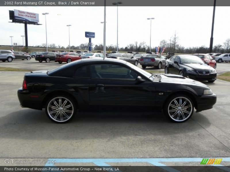Black / Dark Charcoal 2002 Ford Mustang GT Coupe