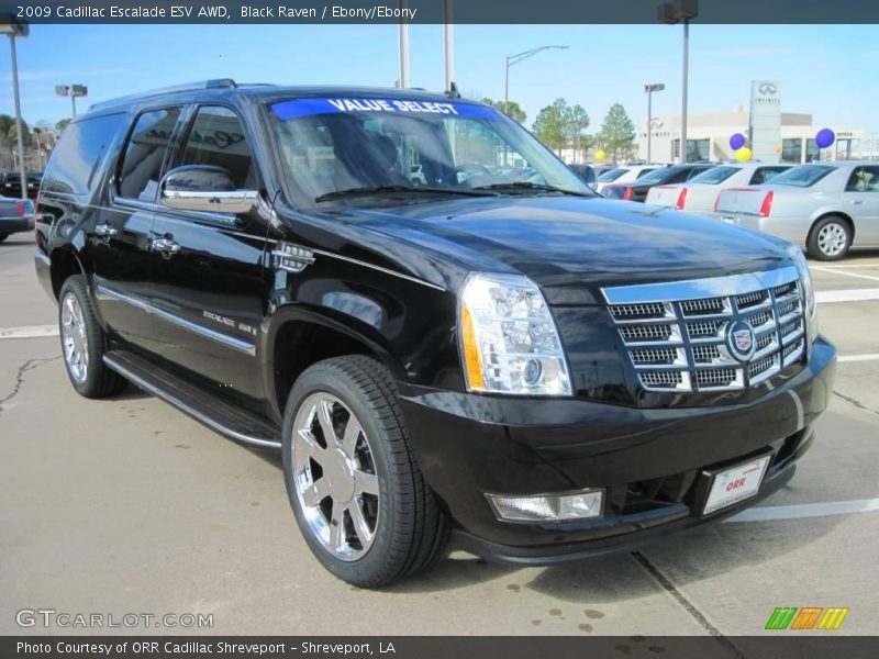 Black Raven / Ebony/Ebony 2009 Cadillac Escalade ESV AWD