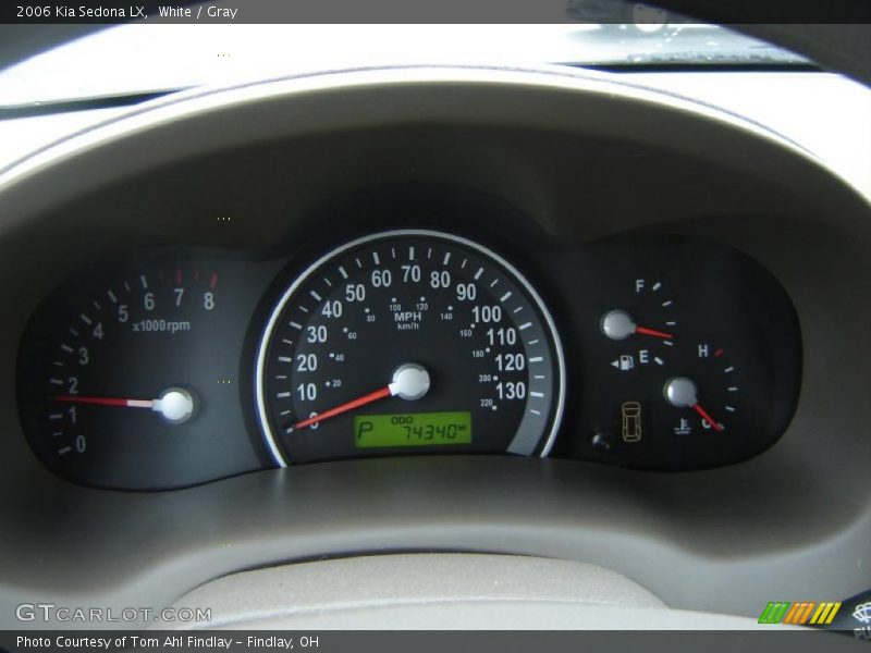 White / Gray 2006 Kia Sedona LX