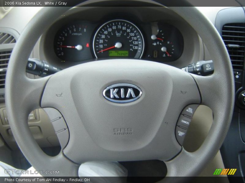 White / Gray 2006 Kia Sedona LX