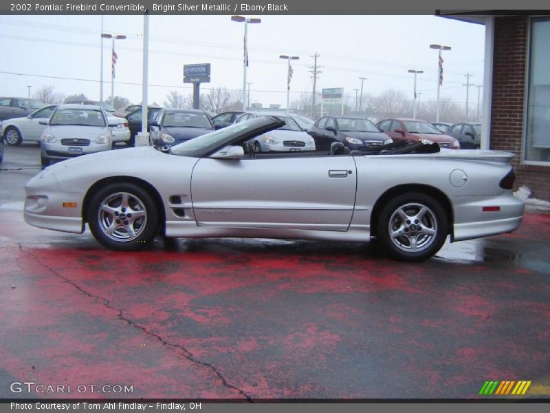 Bright Silver Metallic / Ebony Black 2002 Pontiac Firebird Convertible
