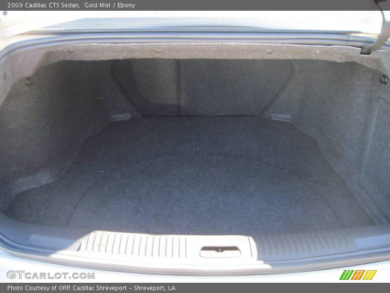 Gold Mist / Ebony 2009 Cadillac CTS Sedan