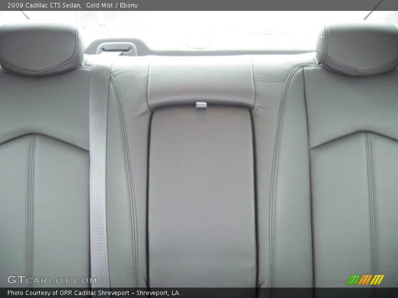 Gold Mist / Ebony 2009 Cadillac CTS Sedan