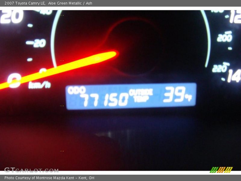 Aloe Green Metallic / Ash 2007 Toyota Camry LE