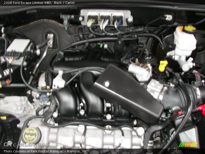 Black / Camel 2008 Ford Escape Limited 4WD