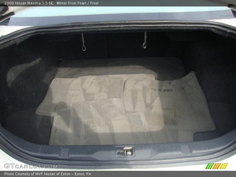 Winter Frost Pearl / Frost 2008 Nissan Maxima 3.5 SE