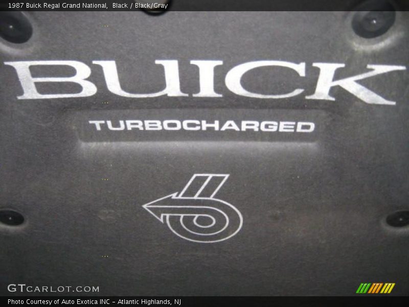 Black / Black/Gray 1987 Buick Regal Grand National