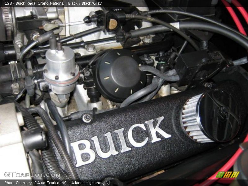 Black / Black/Gray 1987 Buick Regal Grand National