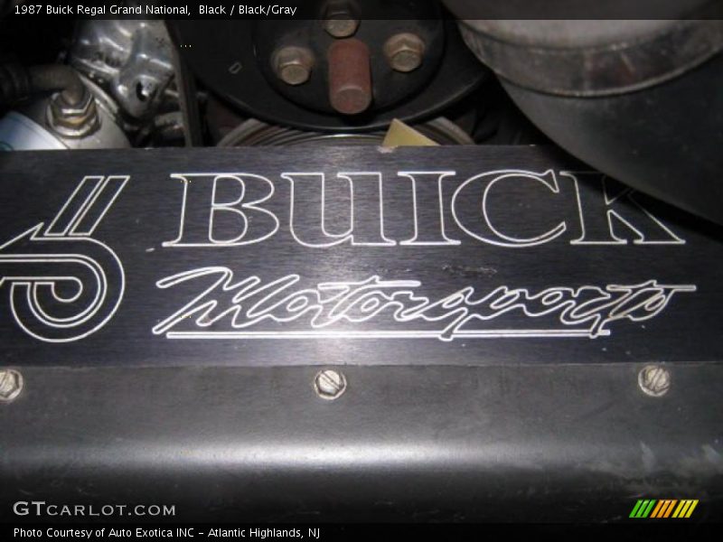 Black / Black/Gray 1987 Buick Regal Grand National