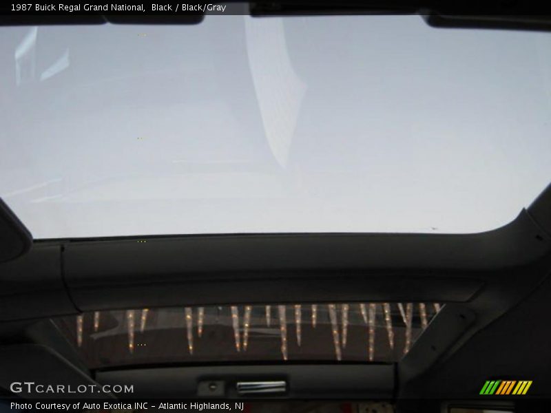 Black / Black/Gray 1987 Buick Regal Grand National