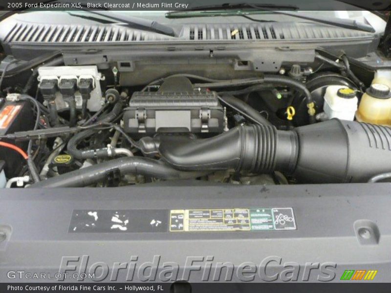 Black Clearcoat / Medium Flint Grey 2005 Ford Expedition XLS
