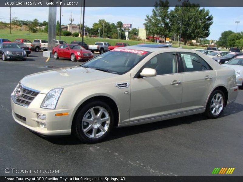 Gold Mist / Ebony 2009 Cadillac STS V8