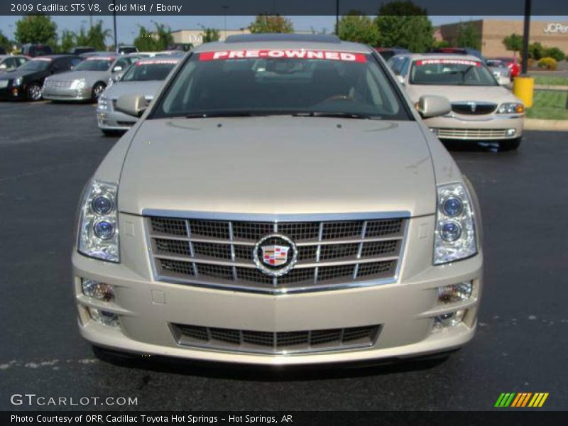 Gold Mist / Ebony 2009 Cadillac STS V8
