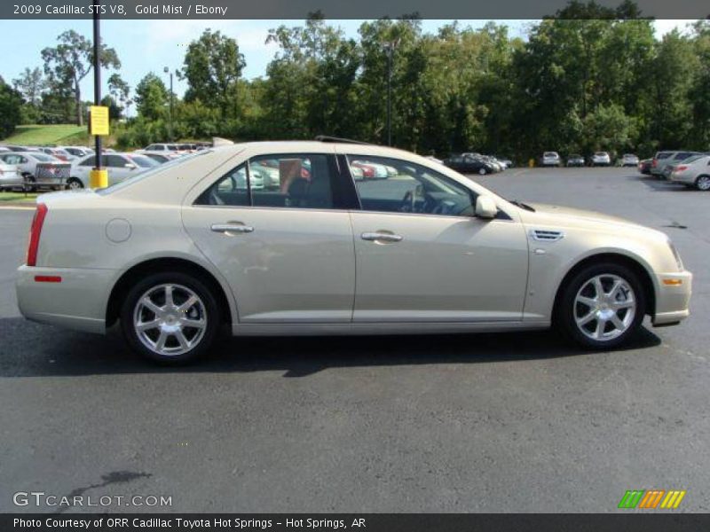 Gold Mist / Ebony 2009 Cadillac STS V8